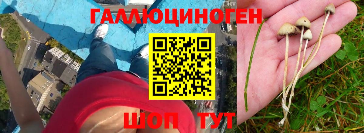 Псилоцибиновые грибы мухоморы Воткинск